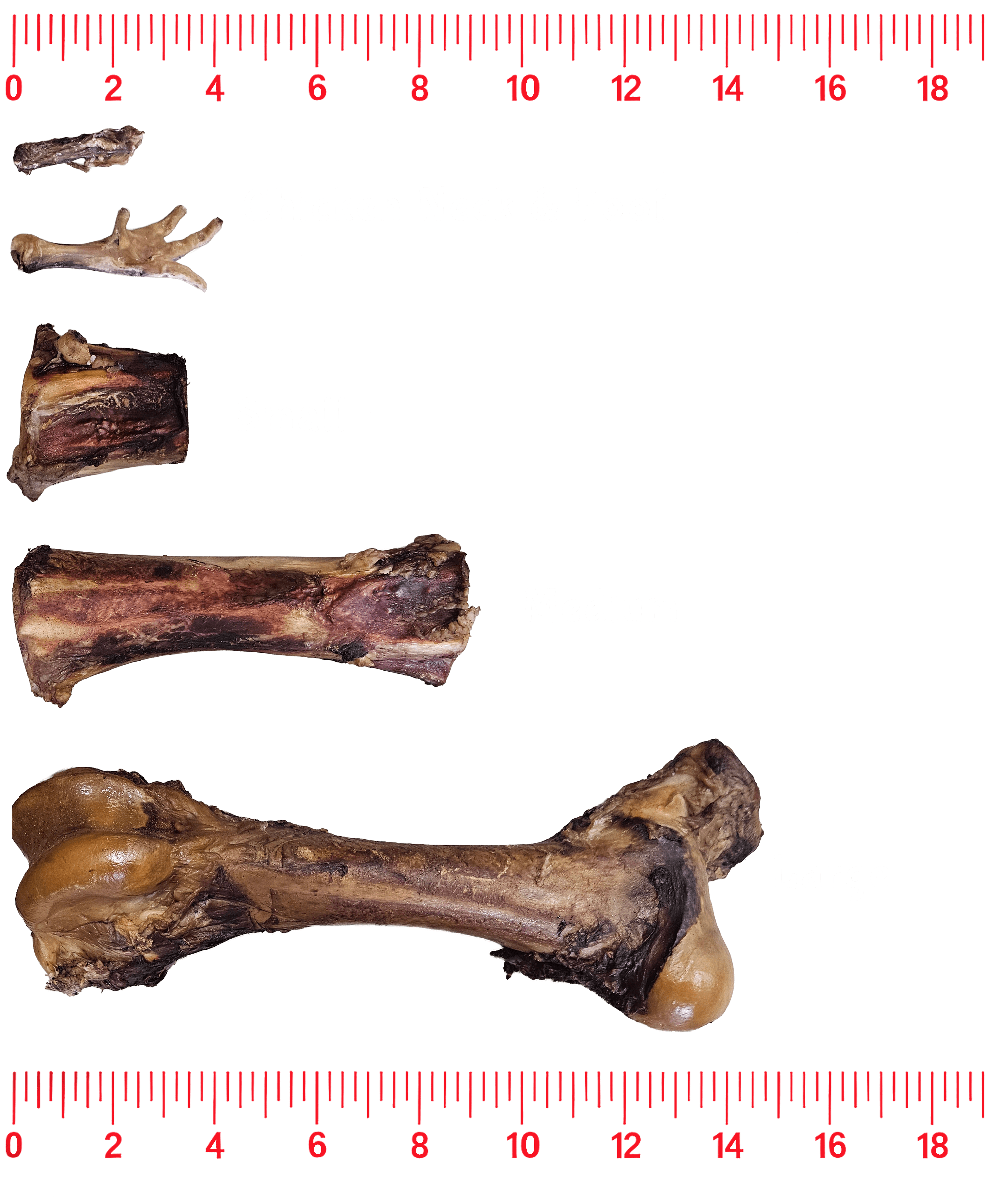 Chicken foot, chicken neck, and small, medium, large bones side-by-side