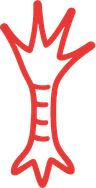 Chicken foot icon