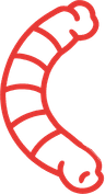 Chicken neck icon