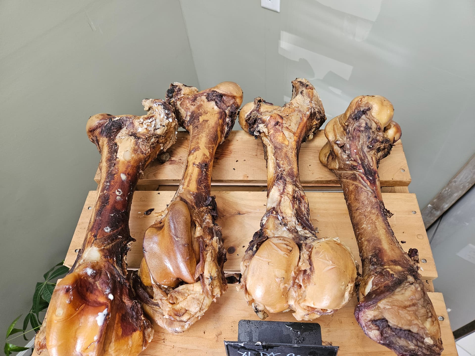Slow-baking fresh femur bones in our custom smoker
