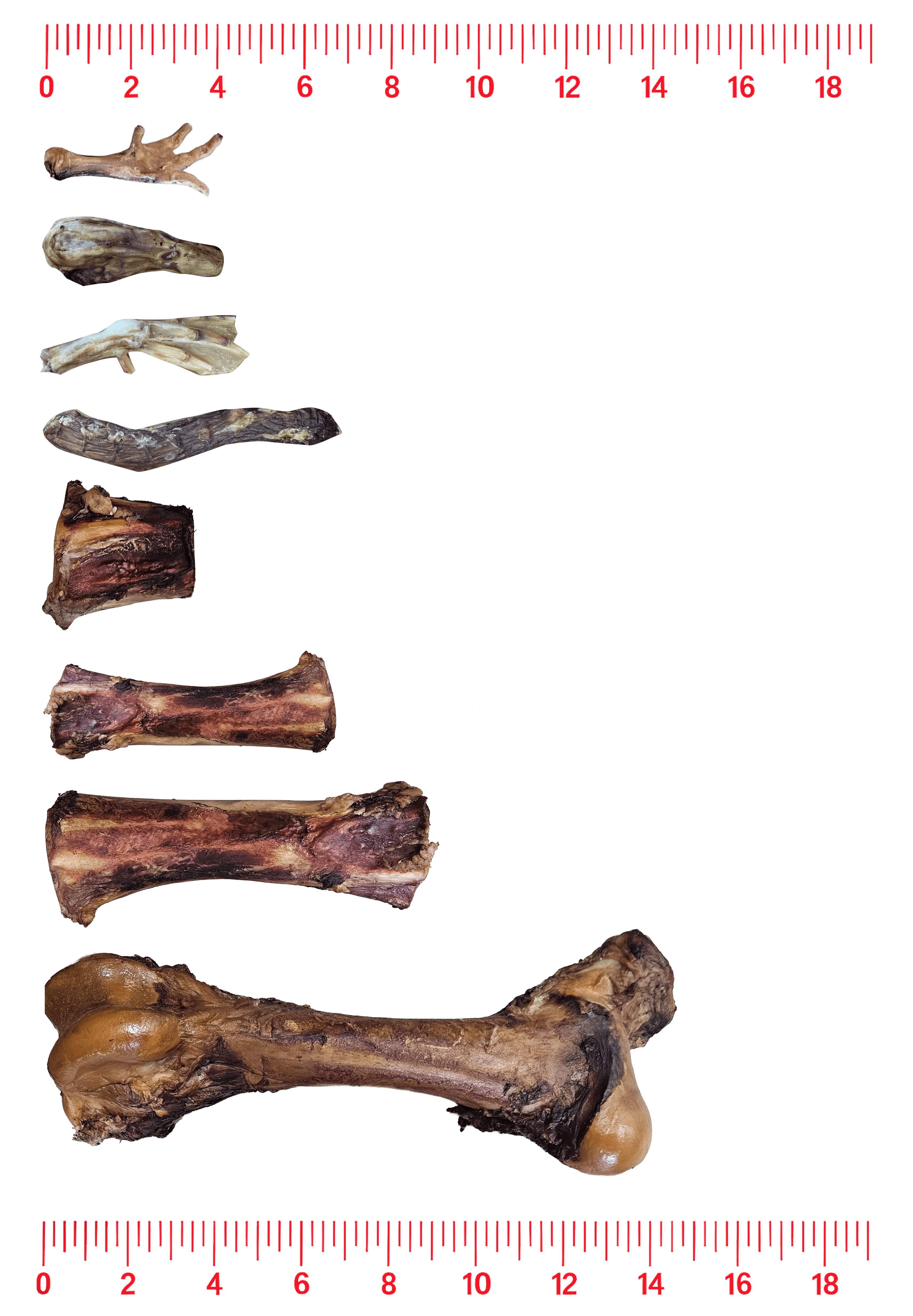 Berserkergang Bones size guide: chicken foot, chicken neck, and Small, Large, XL bones side-by-side